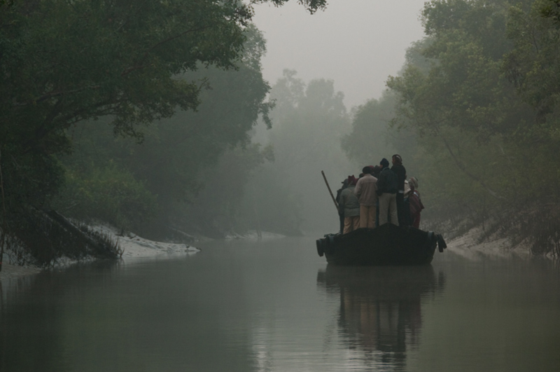 Forêt de mangrove ; Kochikali ; Sundarbans ; Khulna Division
