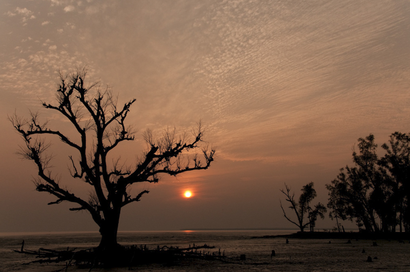 Kotka ; Sundarbans ; Khulna Division