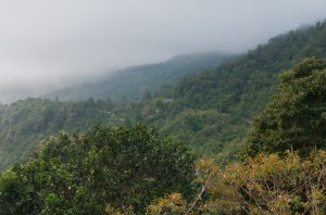 Dans la région de Boquete, les alentours du Lost and Found